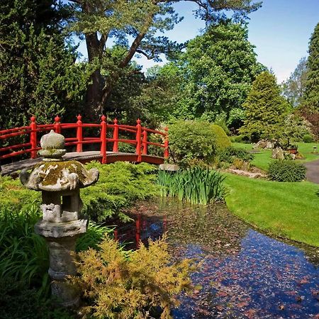 ניוברידג' The Curragh Country House Accommodation מראה חיצוני תמונה