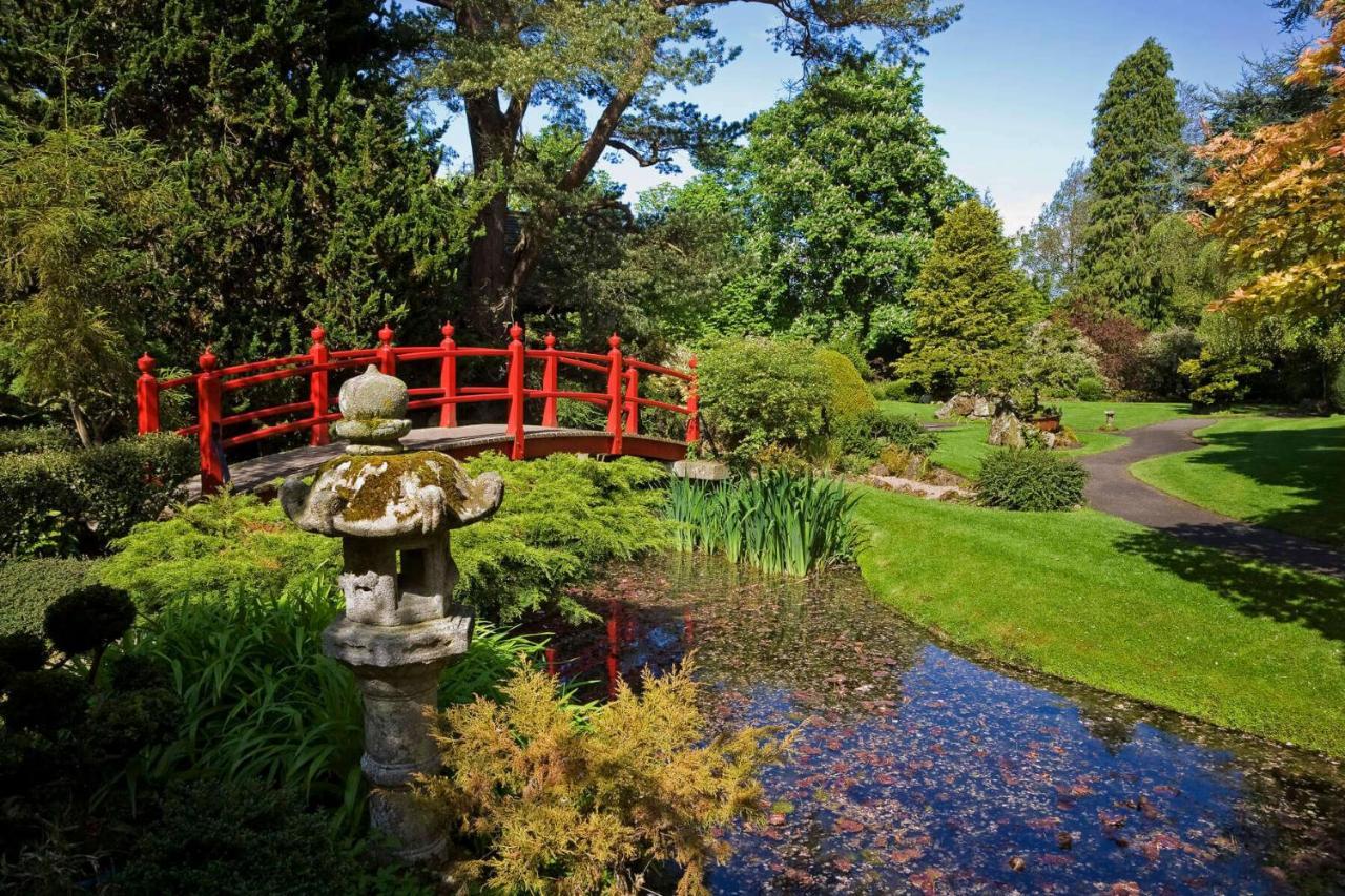ניוברידג' The Curragh Country House Accommodation מראה חיצוני תמונה